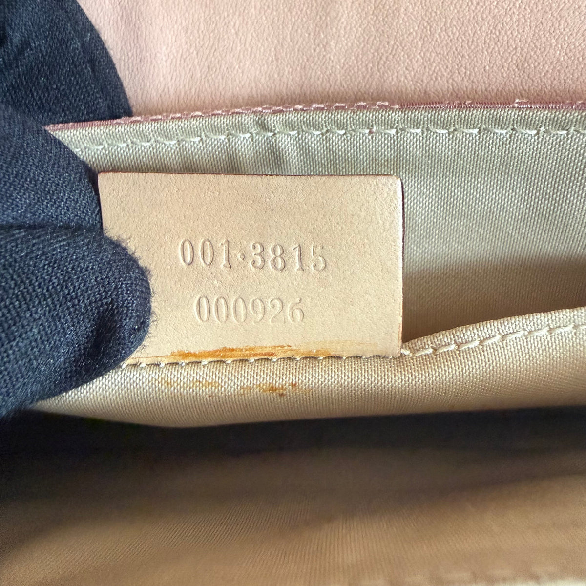 Gucci Pink Monogram Canvas Bag