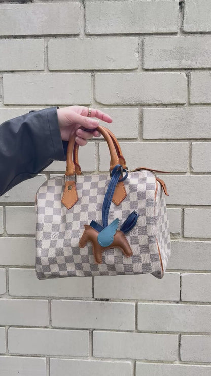 Louis Vuitton Speedy 25 Damier Azur