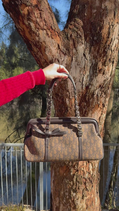 Dior Romantique Brown Trotter Ribbon Handbag